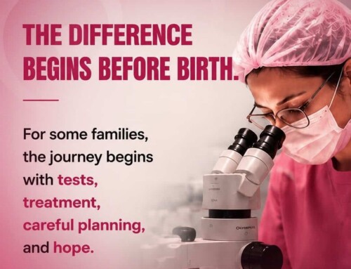 Does Each Follicle Produce 1 Egg in IVF?