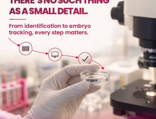 What Tests Are Needed Before Starting IVF Treatment? A Pre-Treatment Guide