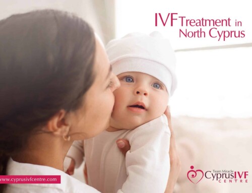 Fresh vs Frozen Donor Eggs: What Is the Difference and Does It Affect Success?